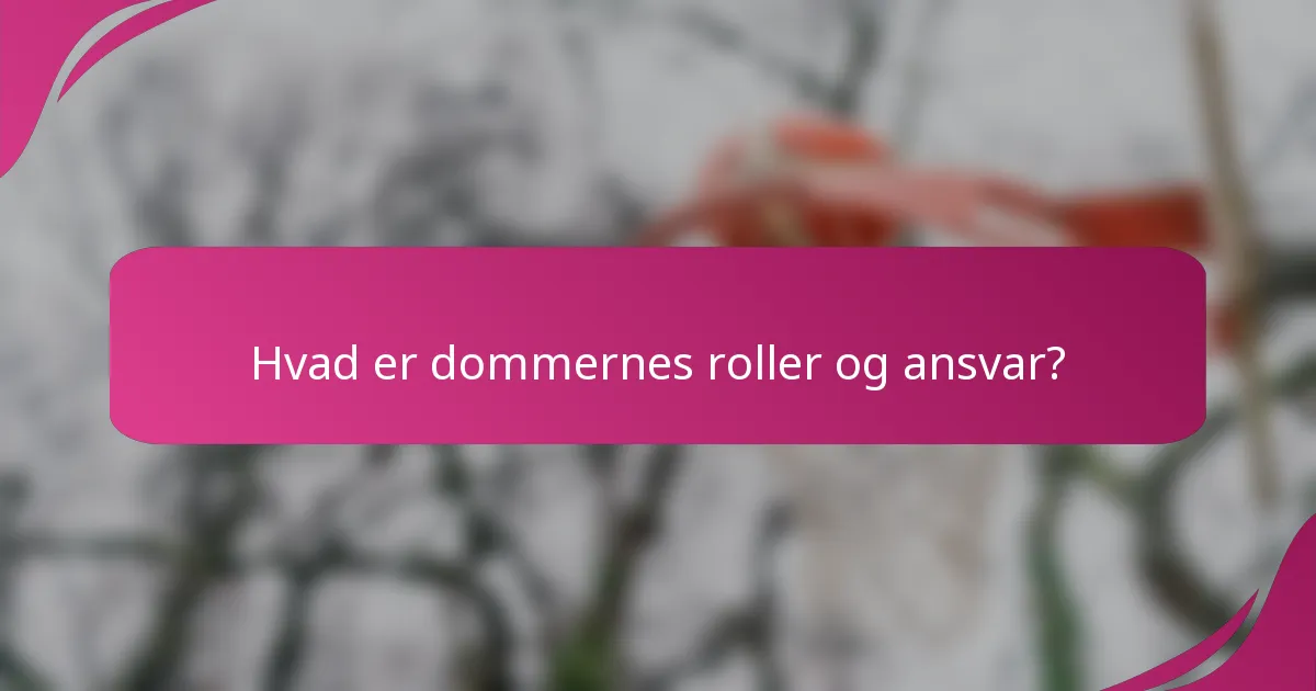 Hvad er dommernes roller og ansvar?